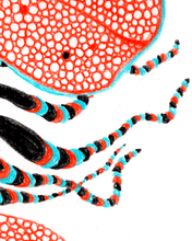 Load image into Gallery viewer, "Sea Creature" print